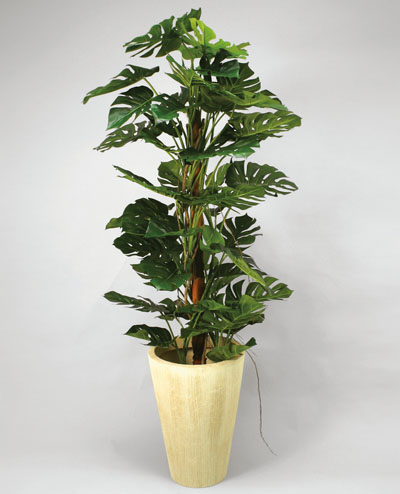 1070-140 Split Philo 130cm, 1070-170 Split Philo 170cm